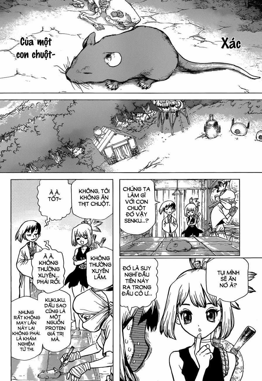Dr.stone - Chapter 41 - Trang 5