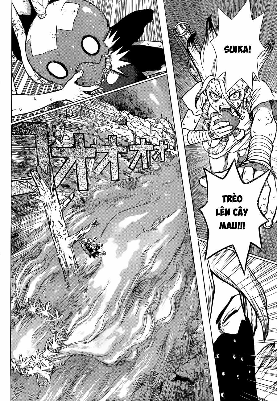 Dr.stone - Chapter 49 - Trang 12