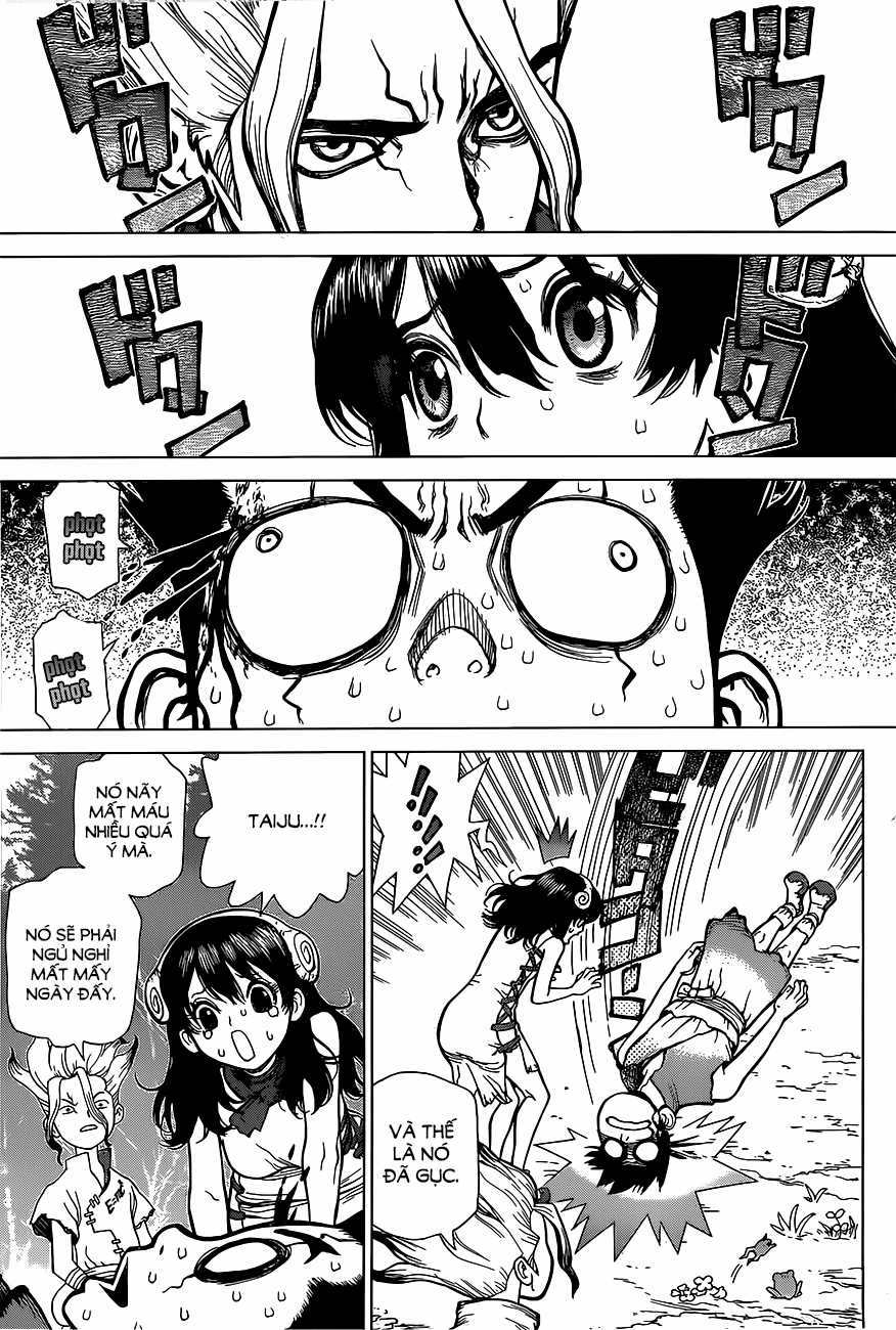 Dr.stone - Chapter 6 - Trang 14