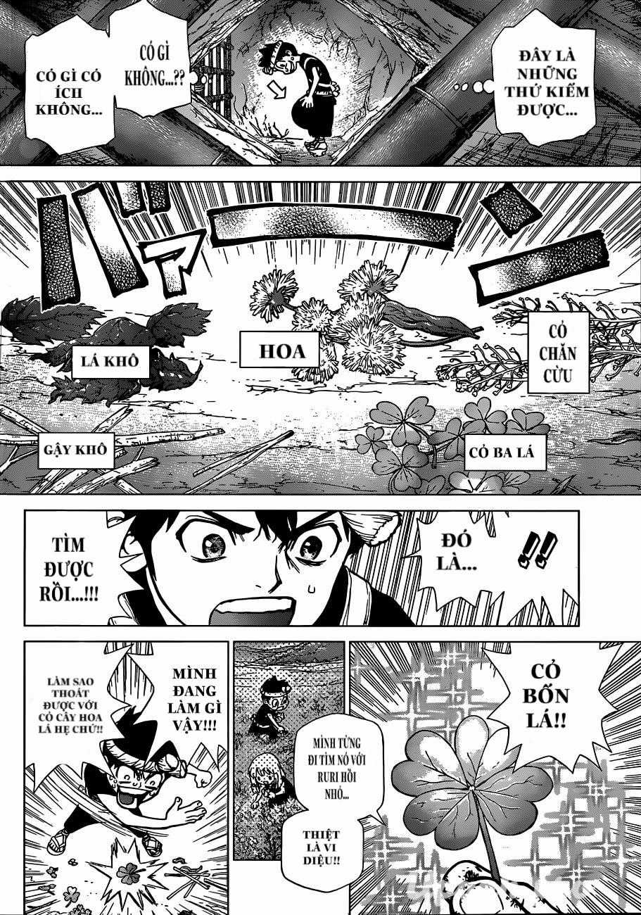 Dr.stone - Chapter 71 - Trang 8