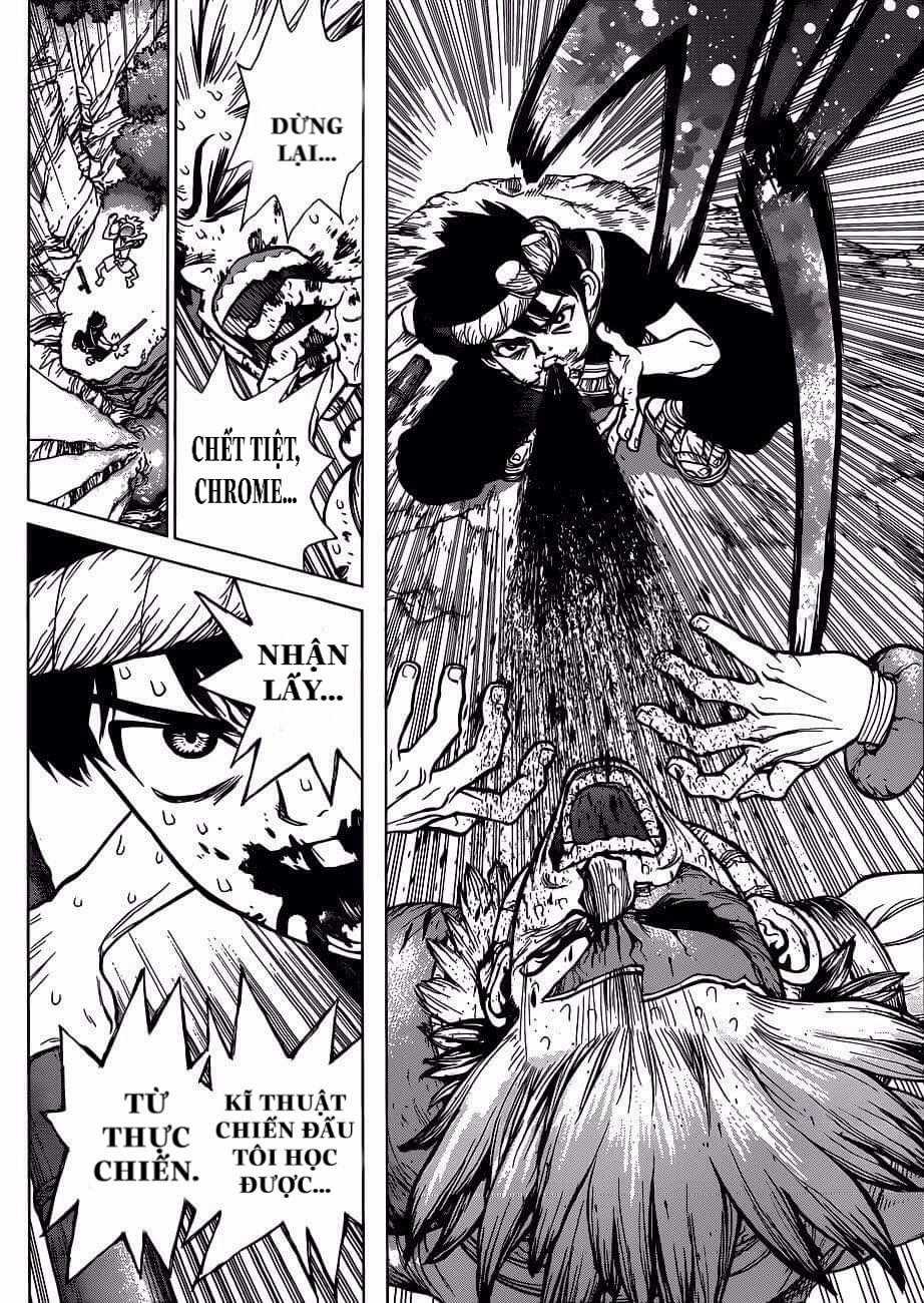 Dr.stone - Chapter 72 - Trang 13