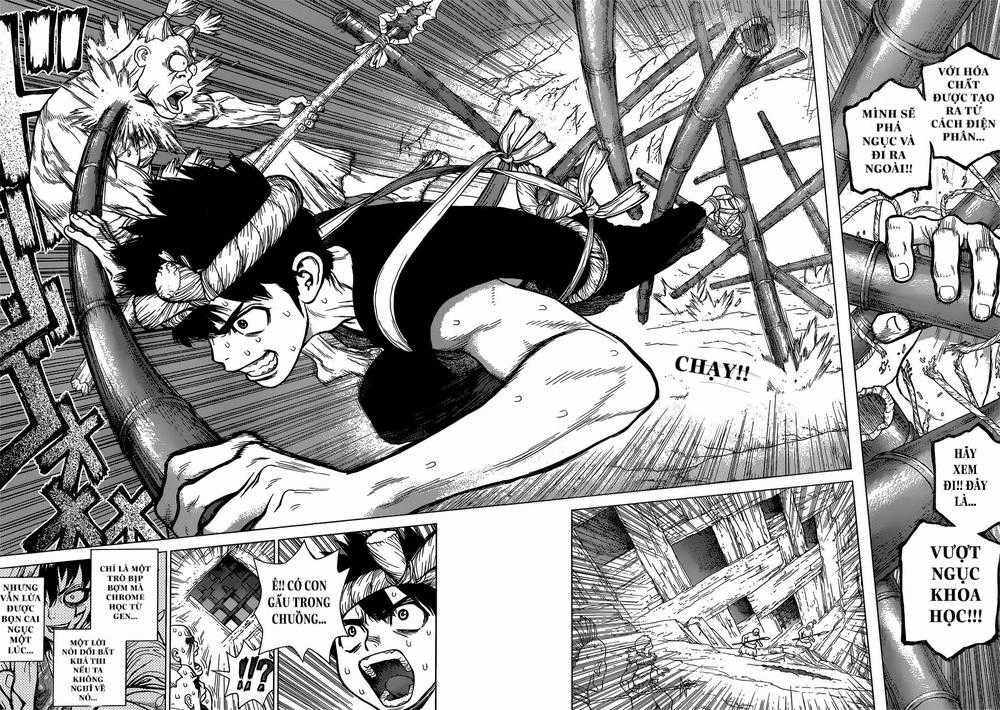 Dr.stone - Chapter 72 - Trang 3