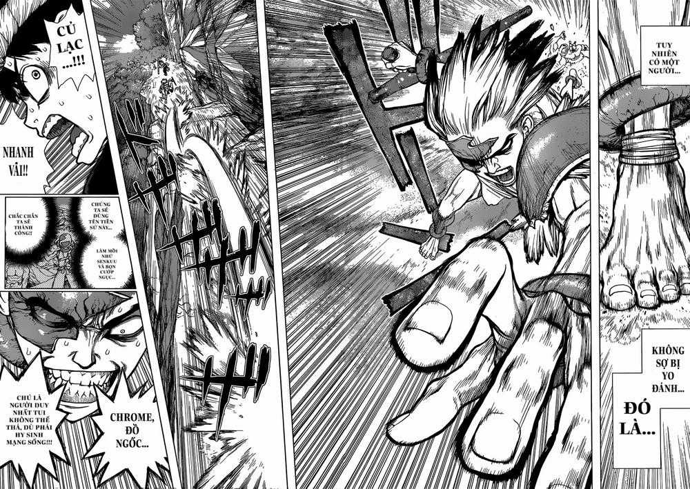Dr.stone - Chapter 72 - Trang 8