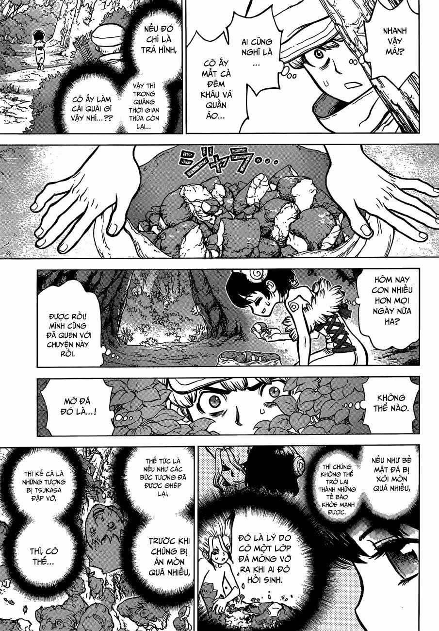 Dr.stone - Chapter 73 - Trang 17
