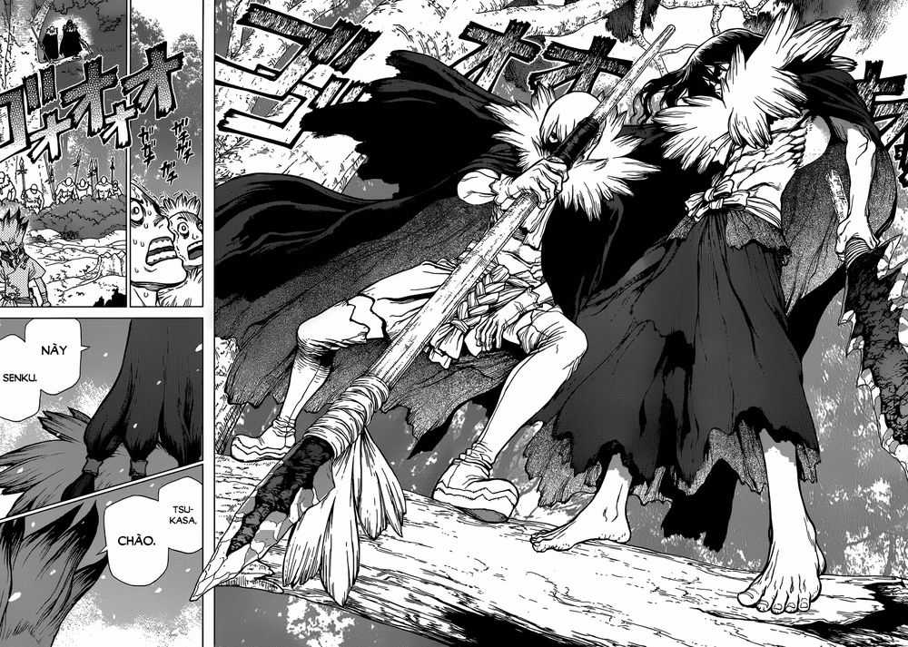 Dr.stone - Chapter 76 - Trang 8