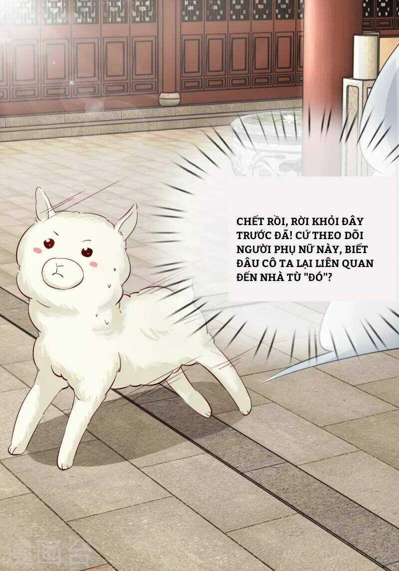 Dụ Địch Thâm Nhập - Chapter 9 - Trang 8