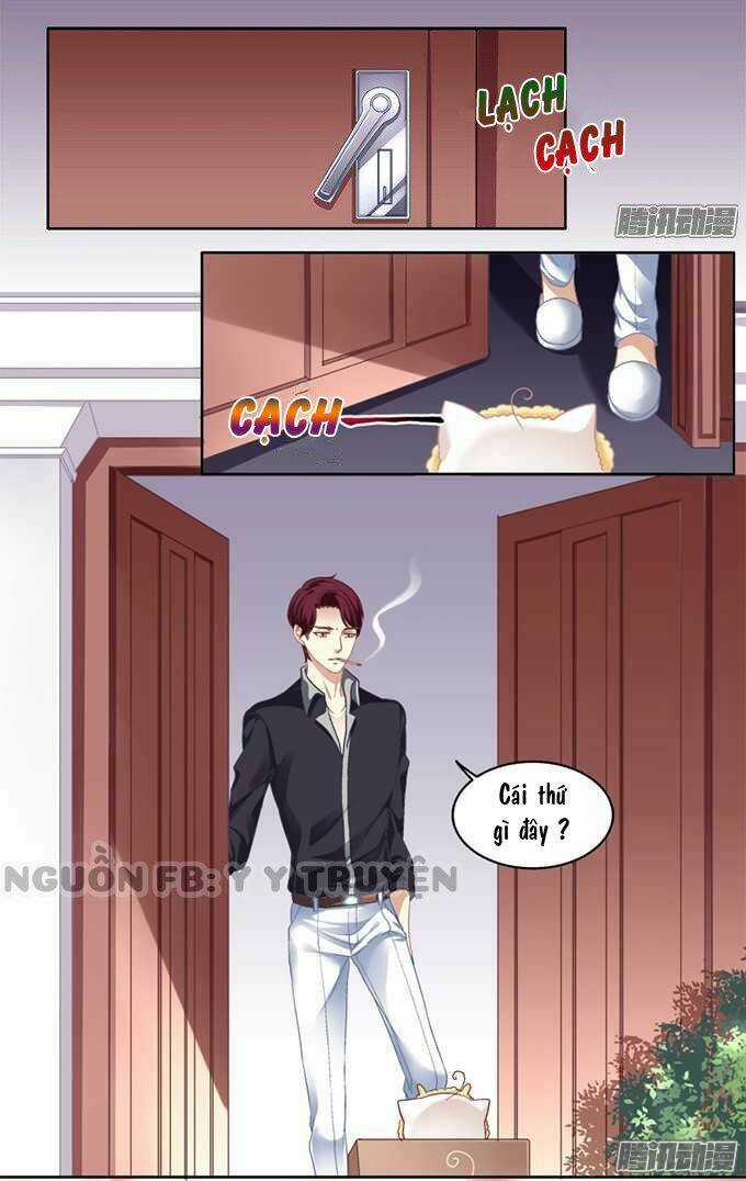 Dụ Hoặc Miêu Yêu - Chapter 1 - Trang 12