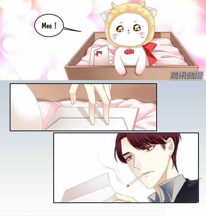 Dụ Hoặc Miêu Yêu - Chapter 1 - Trang 13