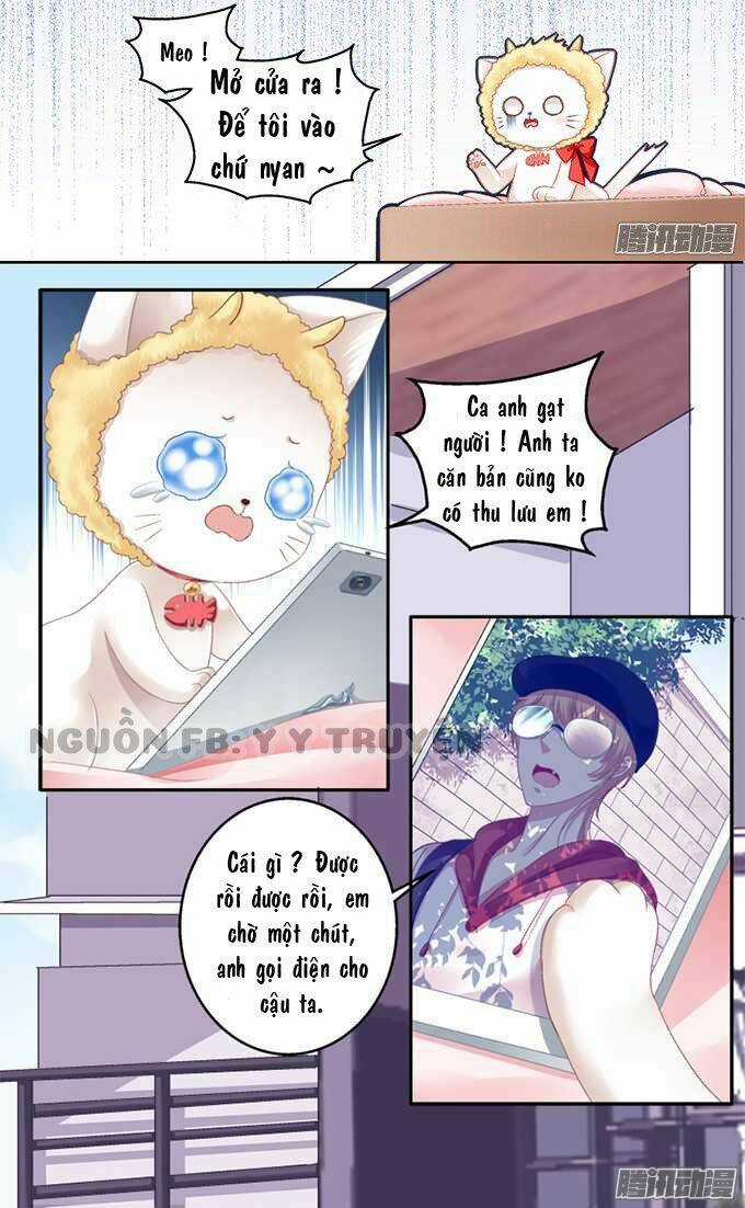 Dụ Hoặc Miêu Yêu - Chapter 1 - Trang 15