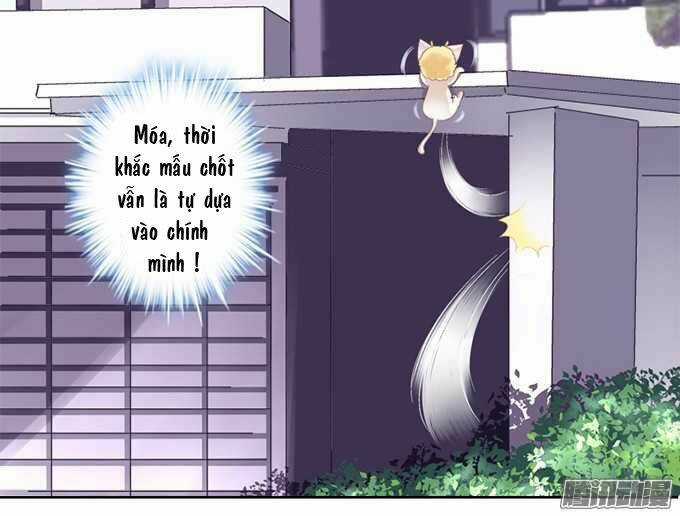 Dụ Hoặc Miêu Yêu - Chapter 1 - Trang 16