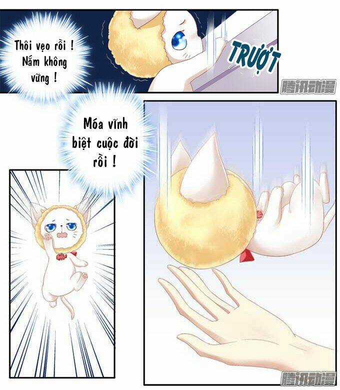 Dụ Hoặc Miêu Yêu - Chapter 1 - Trang 18