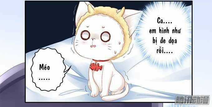 Dụ Hoặc Miêu Yêu - Chapter 1 - Trang 22