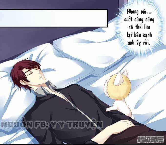 Dụ Hoặc Miêu Yêu - Chapter 1 - Trang 23