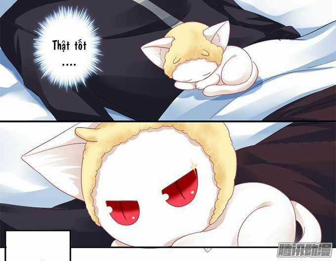 Dụ Hoặc Miêu Yêu - Chapter 1 - Trang 24