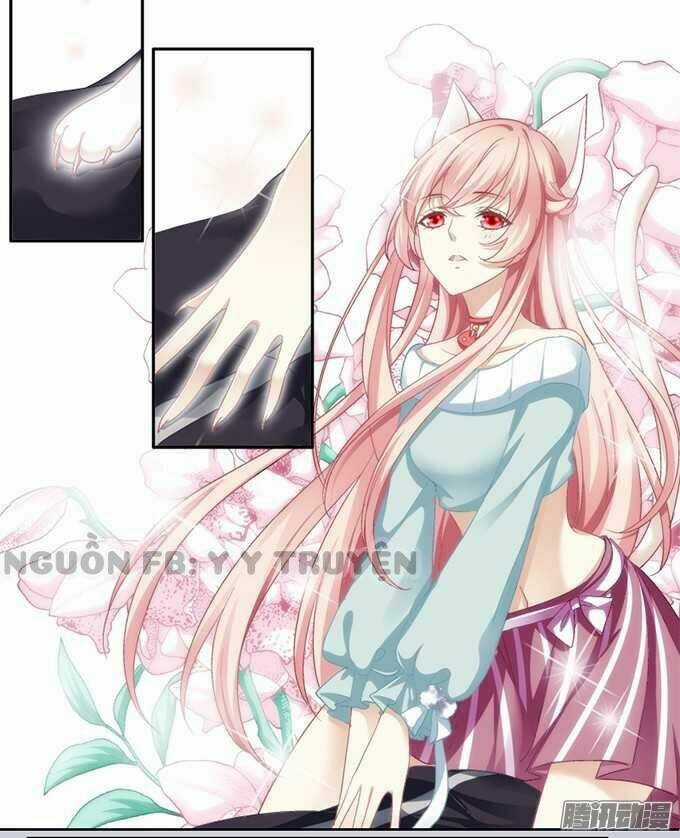 Dụ Hoặc Miêu Yêu - Chapter 1 - Trang 25