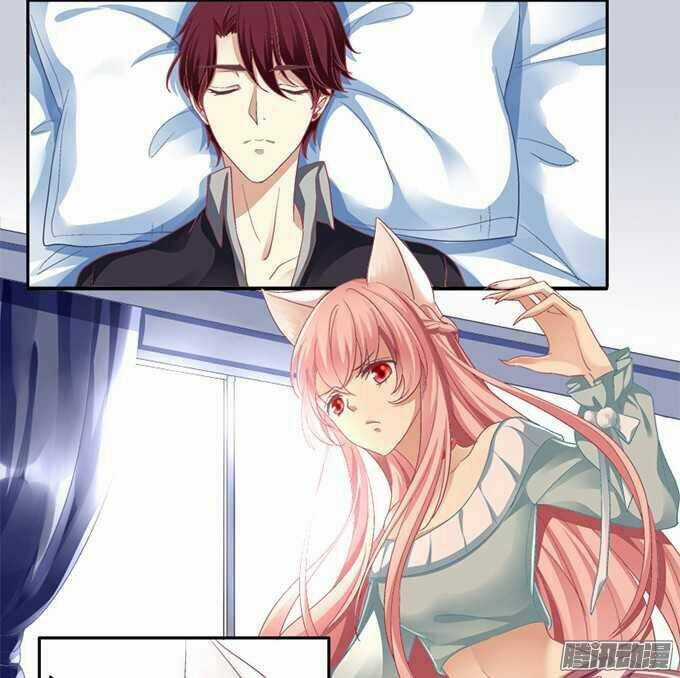 Dụ Hoặc Miêu Yêu - Chapter 1 - Trang 26