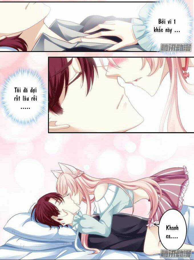 Dụ Hoặc Miêu Yêu - Chapter 1 - Trang 31