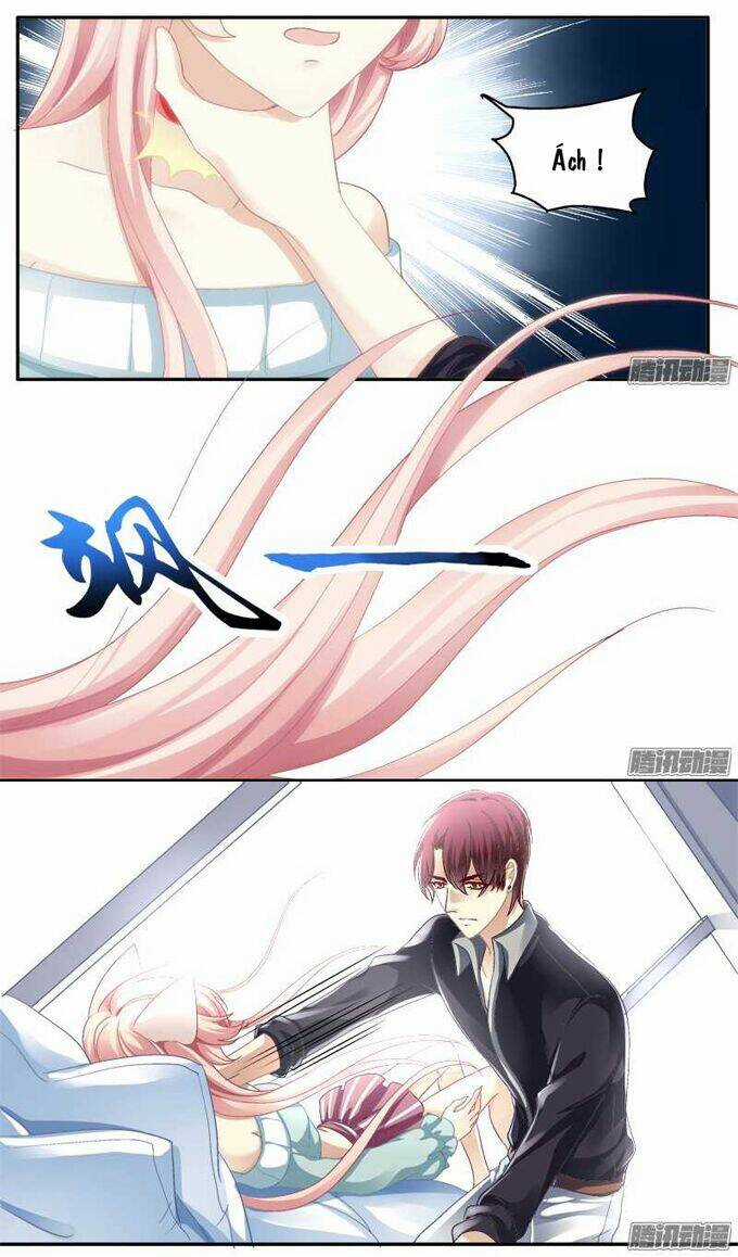 Dụ Hoặc Miêu Yêu - Chapter 1 - Trang 35