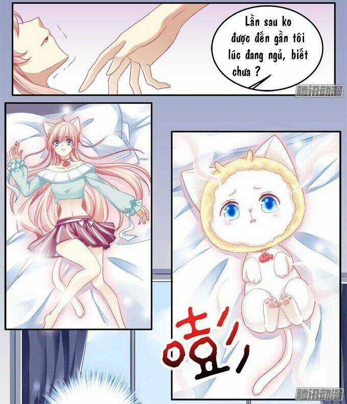 Dụ Hoặc Miêu Yêu - Chapter 1 - Trang 37