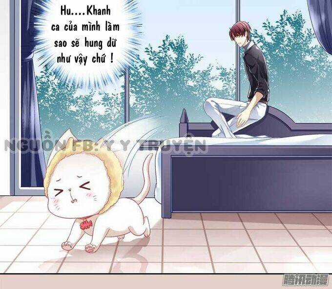 Dụ Hoặc Miêu Yêu - Chapter 1 - Trang 38