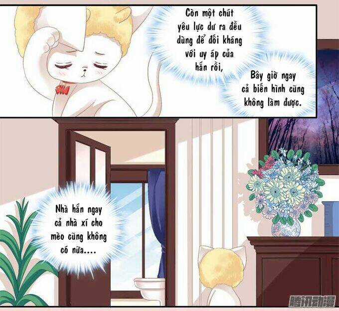 Dụ Hoặc Miêu Yêu - Chapter 1 - Trang 39