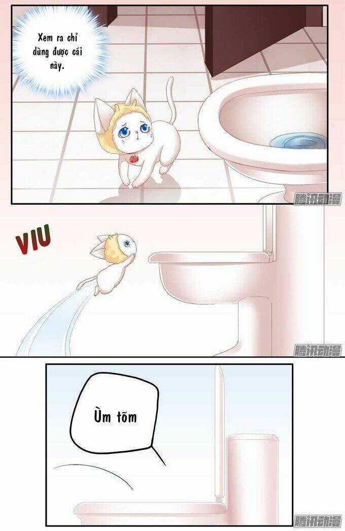 Dụ Hoặc Miêu Yêu - Chapter 1 - Trang 40