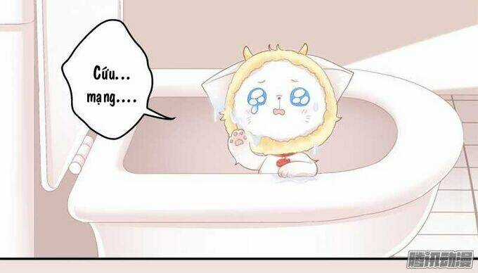 Dụ Hoặc Miêu Yêu - Chapter 1 - Trang 42