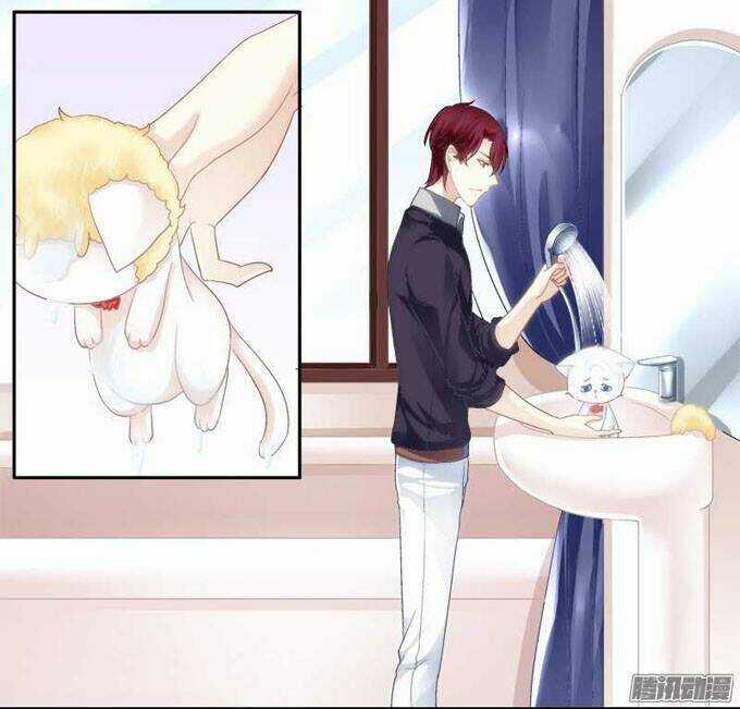 Dụ Hoặc Miêu Yêu - Chapter 1 - Trang 44