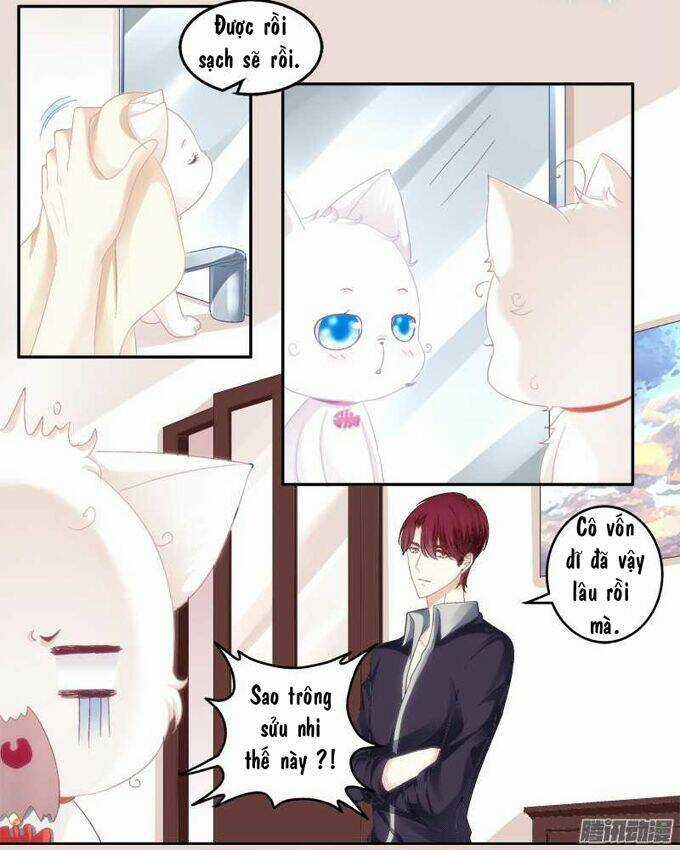 Dụ Hoặc Miêu Yêu - Chapter 1 - Trang 46