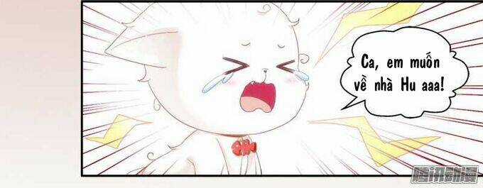 Dụ Hoặc Miêu Yêu - Chapter 1 - Trang 47