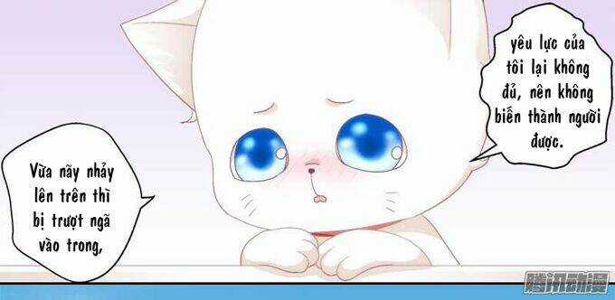 Dụ Hoặc Miêu Yêu - Chapter 1 - Trang 49