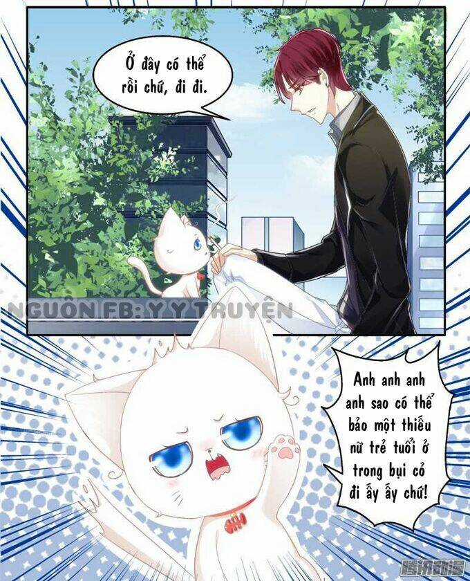 Dụ Hoặc Miêu Yêu - Chapter 1 - Trang 52