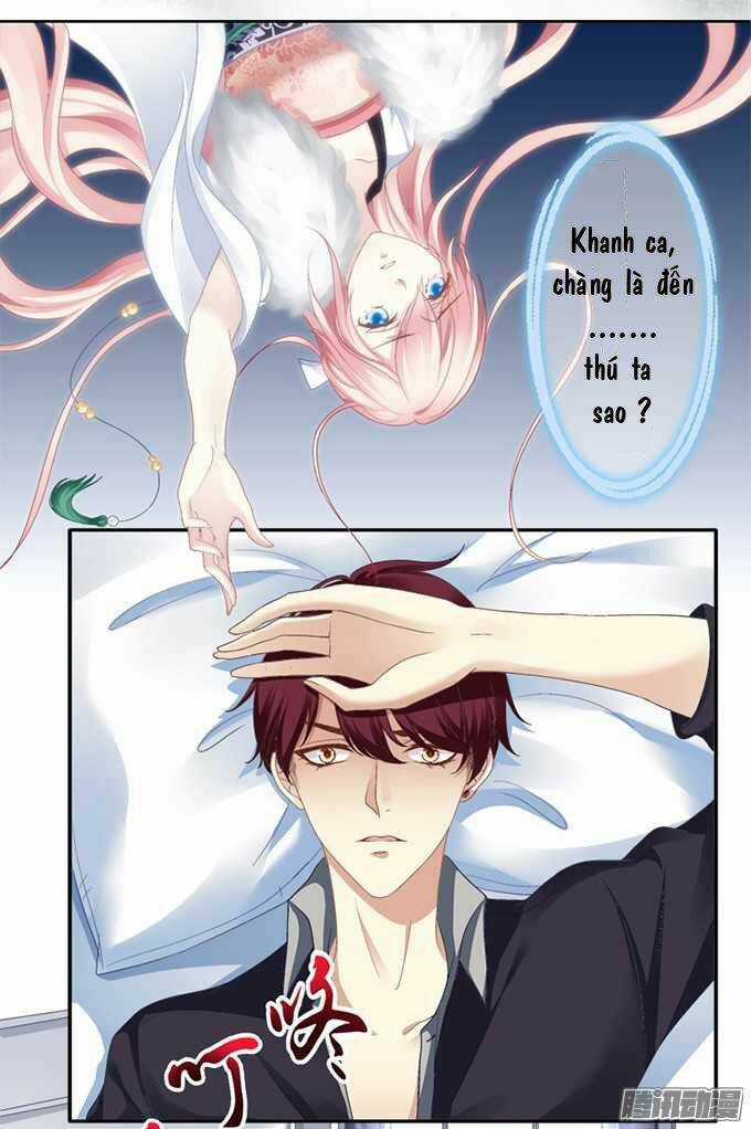 Dụ Hoặc Miêu Yêu - Chapter 1 - Trang 10