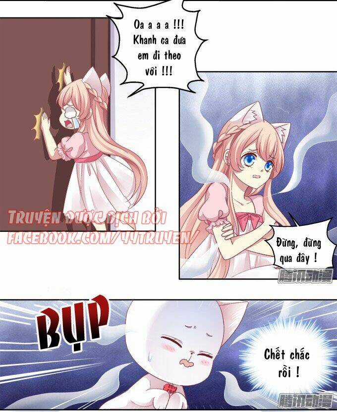 Dụ Hoặc Miêu Yêu - Chapter 10 - Trang 19