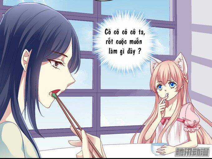 Dụ Hoặc Miêu Yêu - Chapter 10 - Trang 8