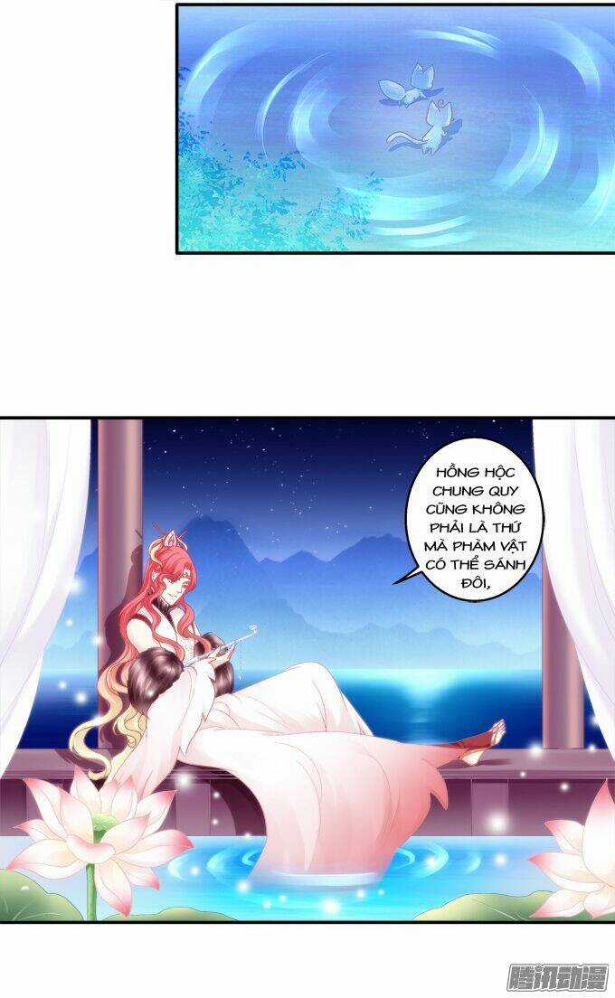 Dụ Hoặc Miêu Yêu - Chapter 105 - Trang 2