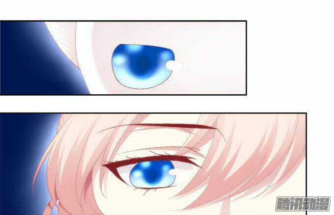 Dụ Hoặc Miêu Yêu - Chapter 11 - Trang 6