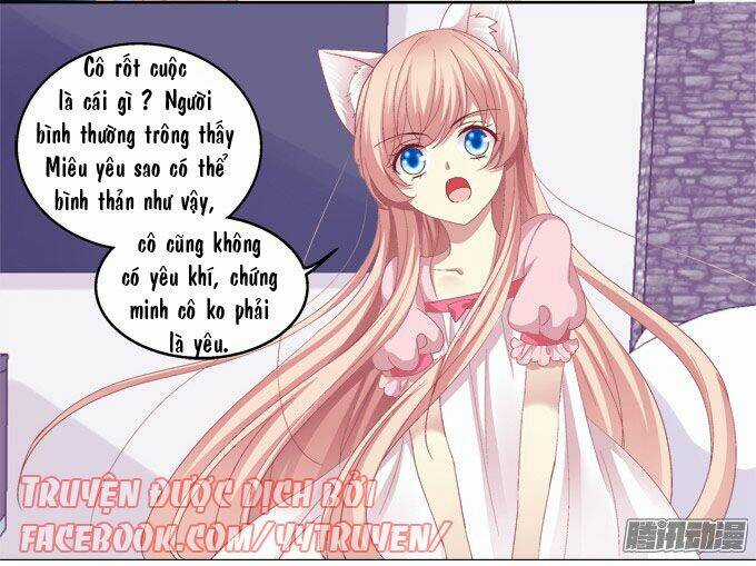 Dụ Hoặc Miêu Yêu - Chapter 11 - Trang 7