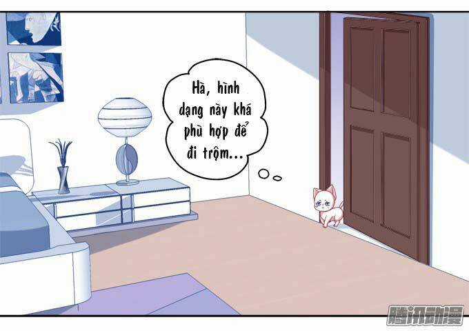 Dụ Hoặc Miêu Yêu - Chapter 12 - Trang 3