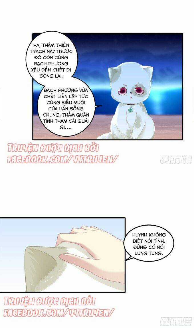 Dụ Hoặc Miêu Yêu - Chapter 121 - Trang 22