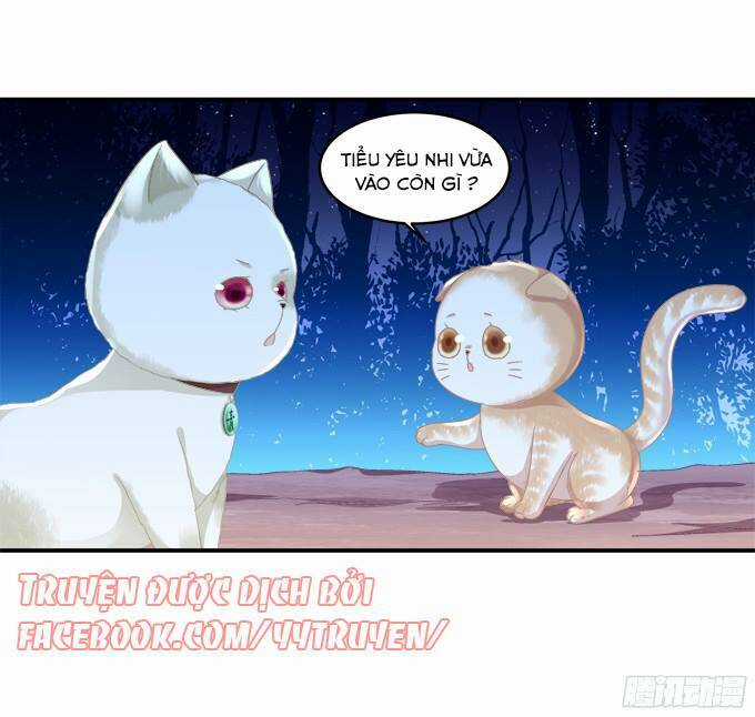 Dụ Hoặc Miêu Yêu - Chapter 122 - Trang 16