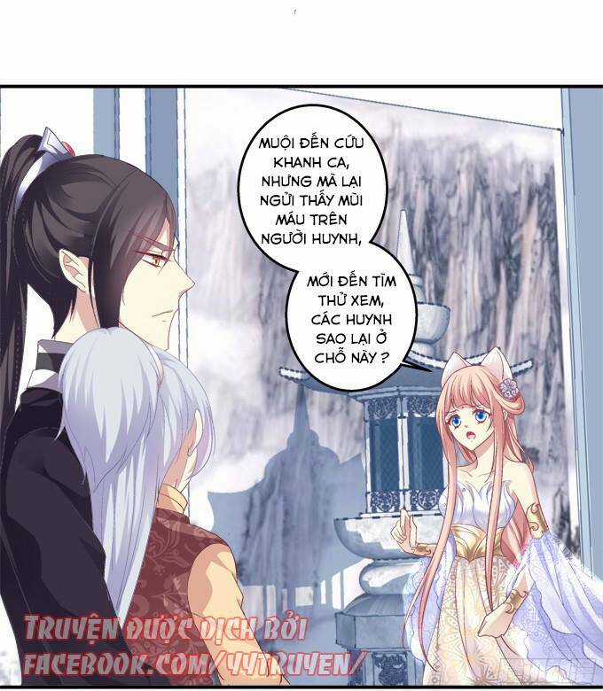 Dụ Hoặc Miêu Yêu - Chapter 123 - Trang 10