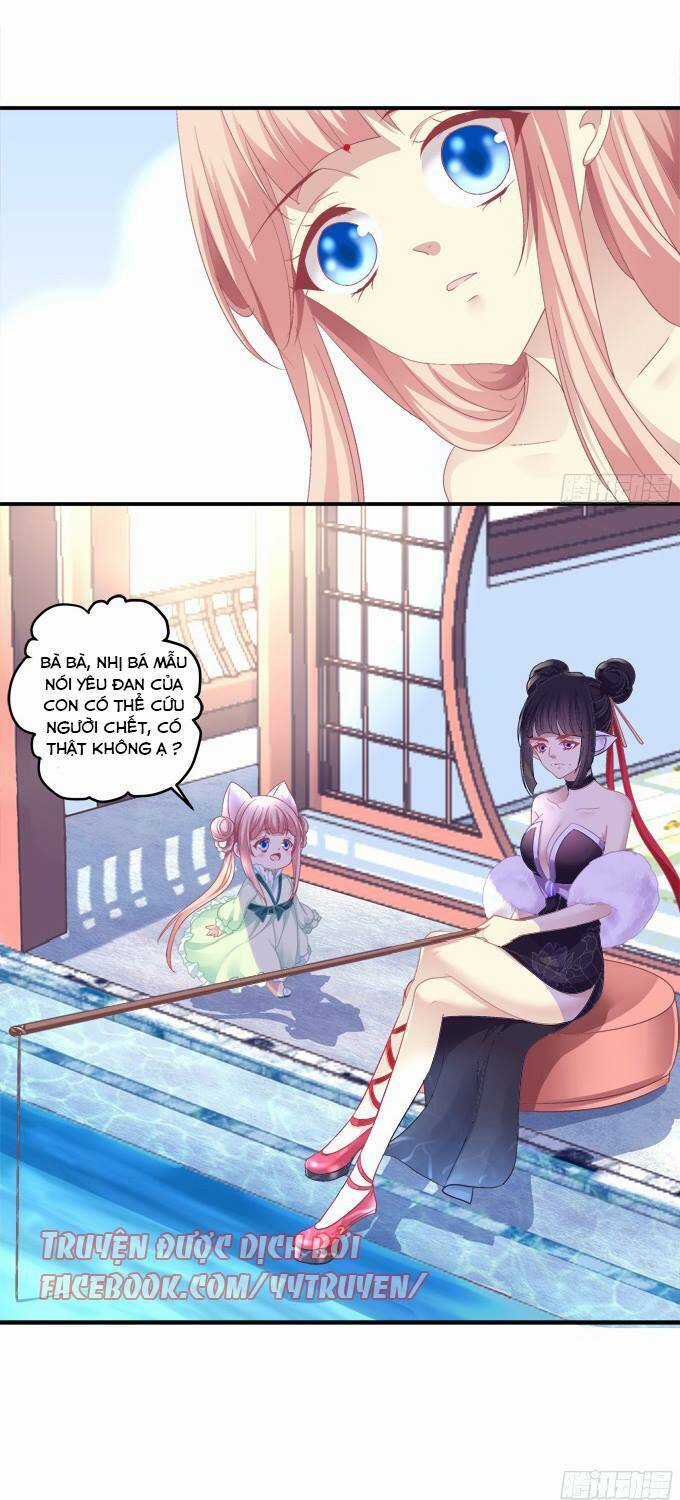 Dụ Hoặc Miêu Yêu - Chapter 126 - Trang 4