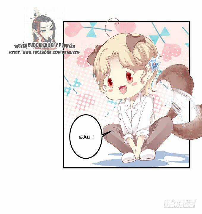 Dụ Hoặc Miêu Yêu - Chapter 145 - Trang 22