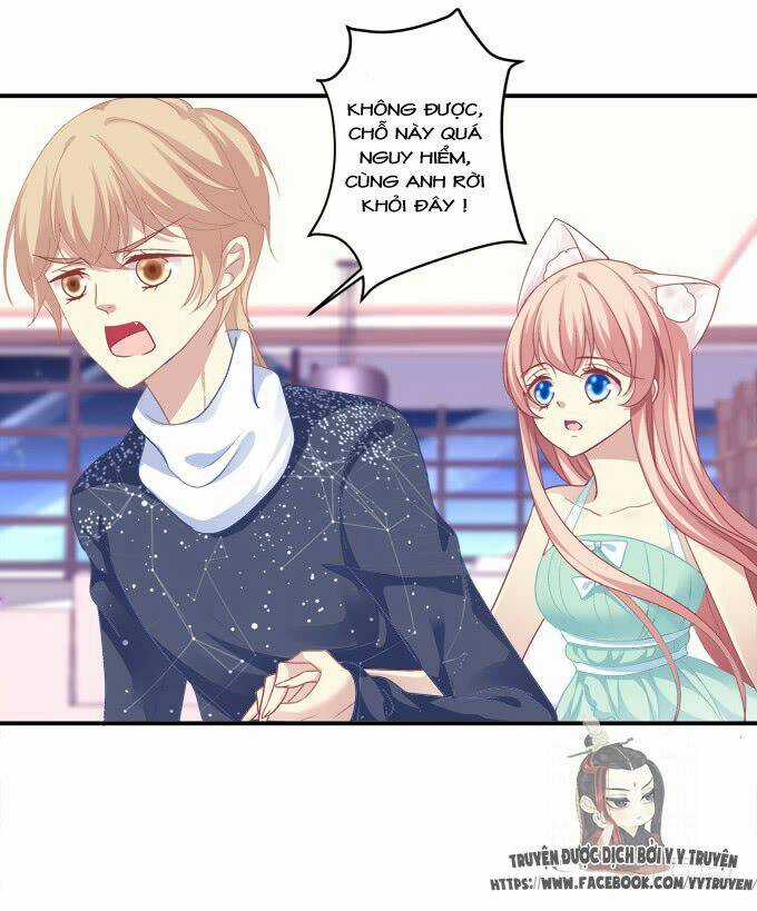 Dụ Hoặc Miêu Yêu - Chapter 145 - Trang 5