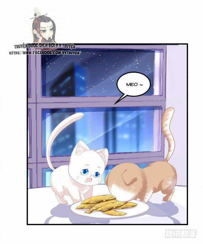 Dụ Hoặc Miêu Yêu - Chapter 147 - Trang 24