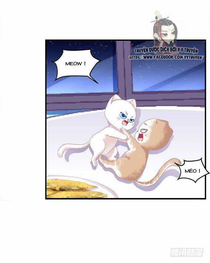 Dụ Hoặc Miêu Yêu - Chapter 147 - Trang 30