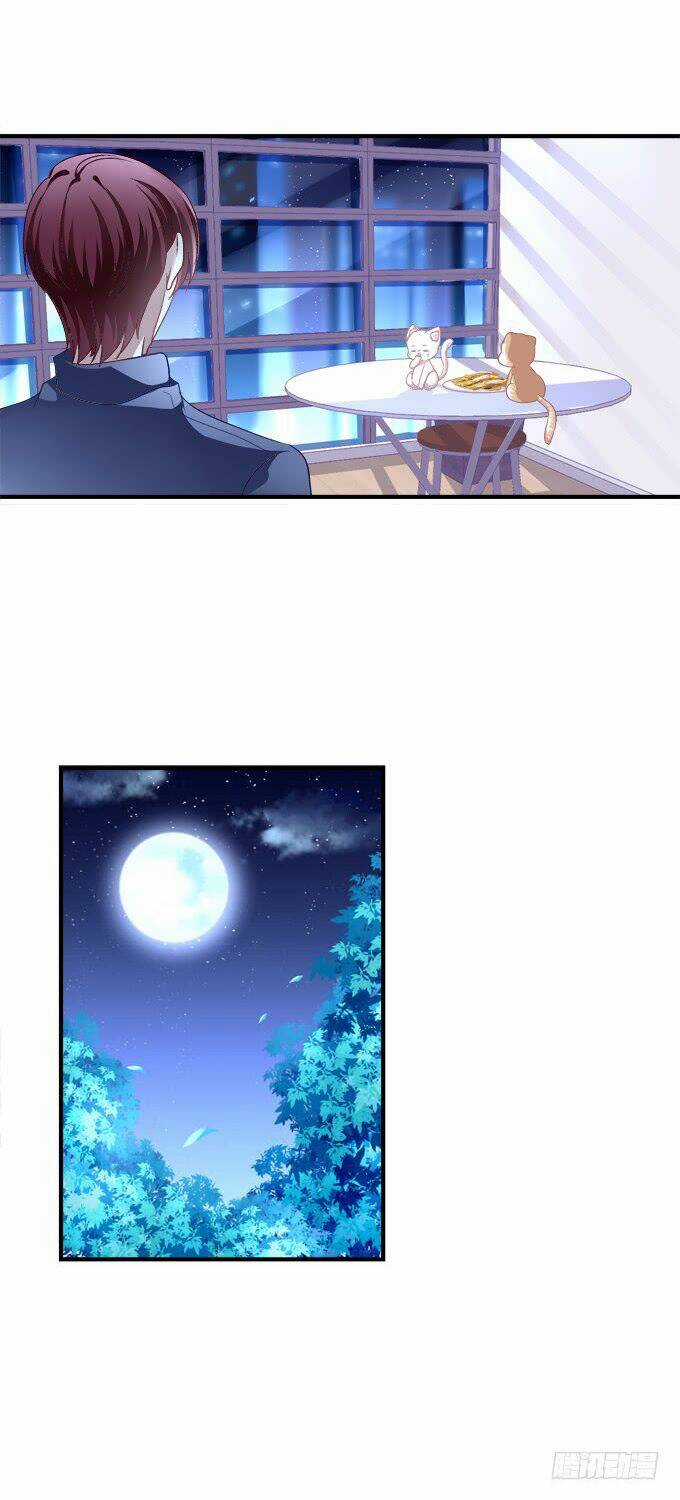 Dụ Hoặc Miêu Yêu - Chapter 147 - Trang 35