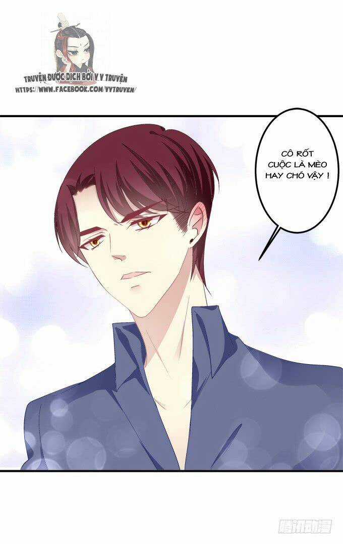 Dụ Hoặc Miêu Yêu - Chapter 149 - Trang 28