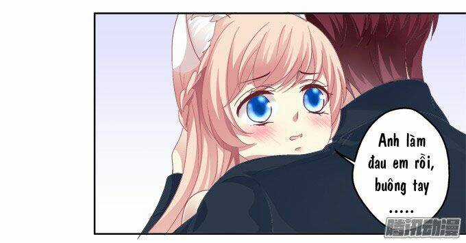 Dụ Hoặc Miêu Yêu - Chapter 15 - Trang 13